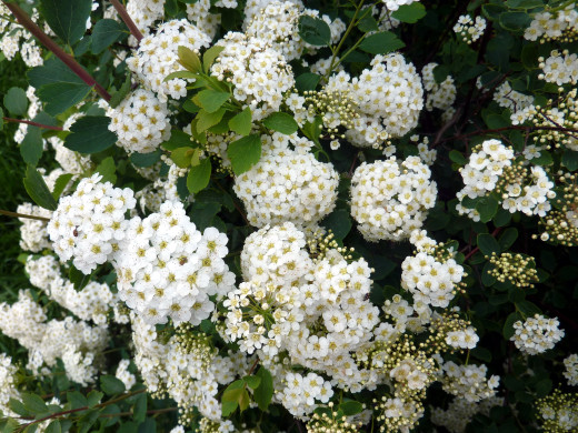 1187715 (a): :2560x1920